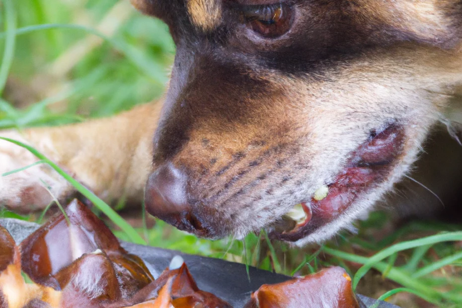 Can dogs eat water chestnuts?