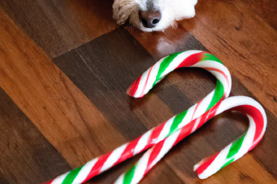 Can Dogs Eat Candy Canes?