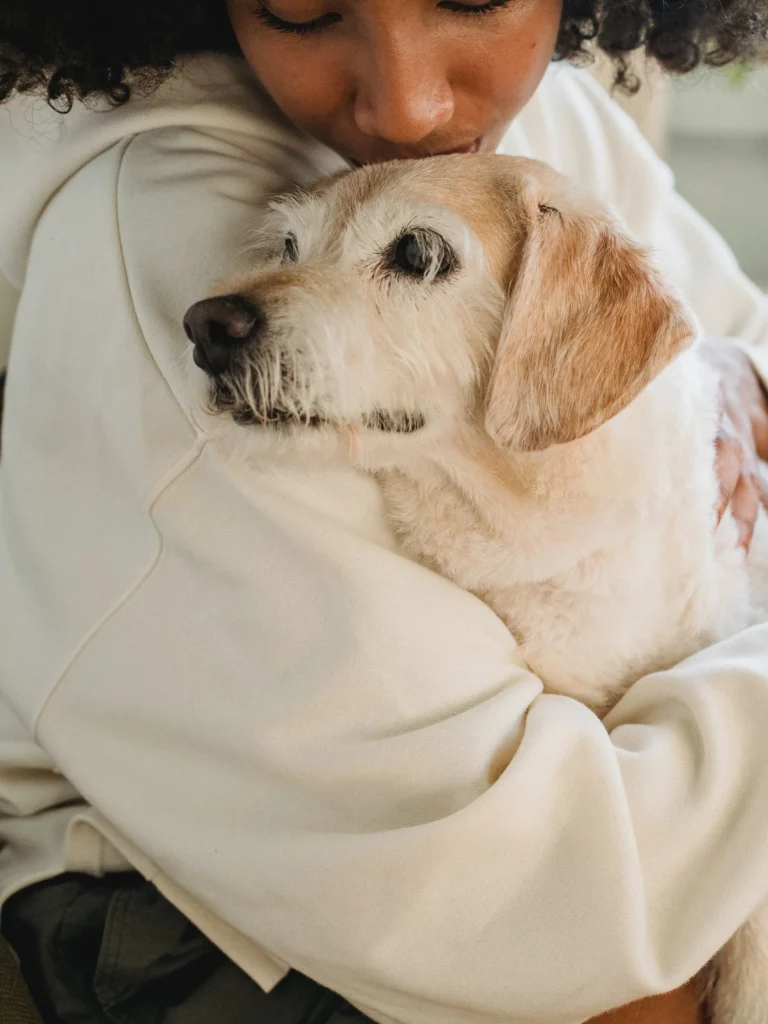 Why do dogs like cuddling?