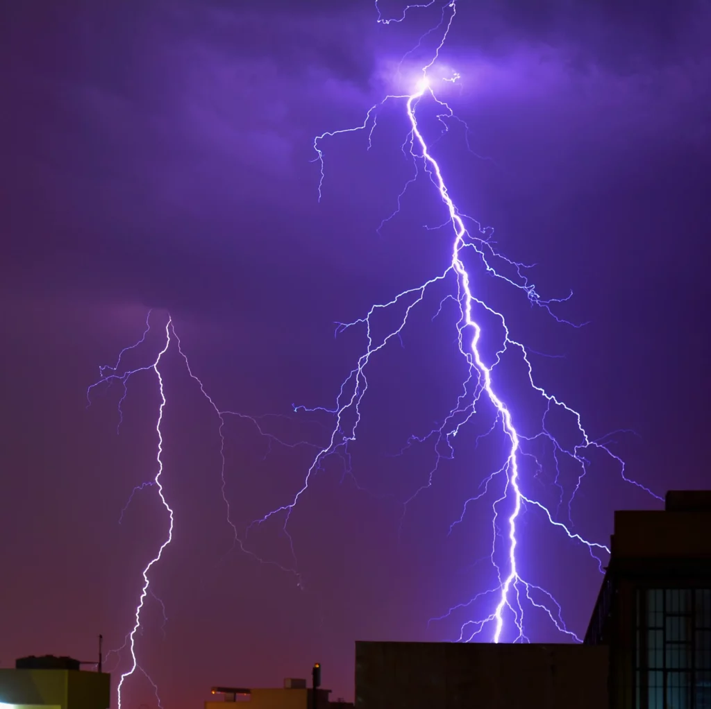 Thunderstorm Phobia in Dogs